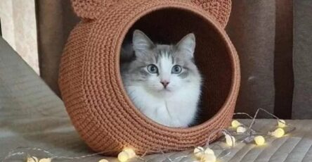 Cat House Crochet Free Pattern - My Crafts Inspirations